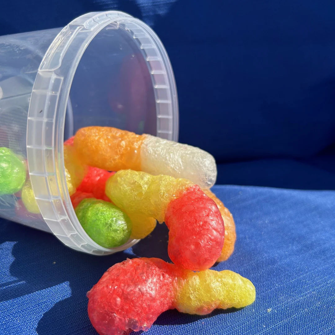 Freeze Dried Candies -Freeze Dried Worm